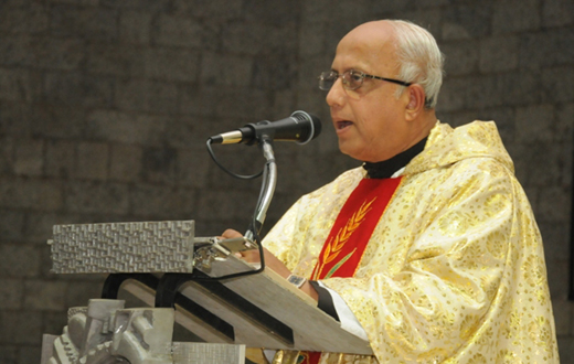 Mount Carmel Feast at Infant Jesus Church